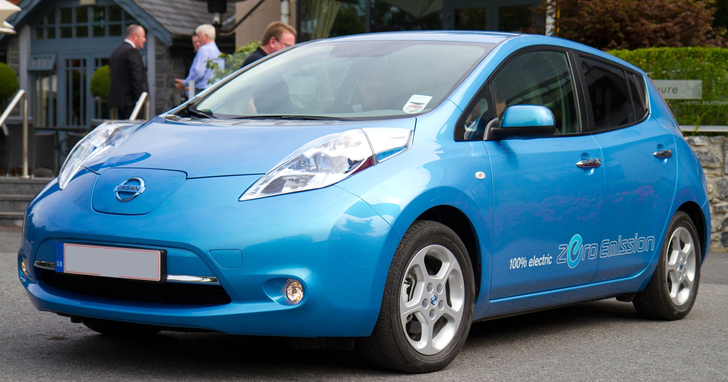 2010 Leaf production model (ZE0); Japanese G grade not established. Cover scope: 2010 Leaf production model; G grade not verified.