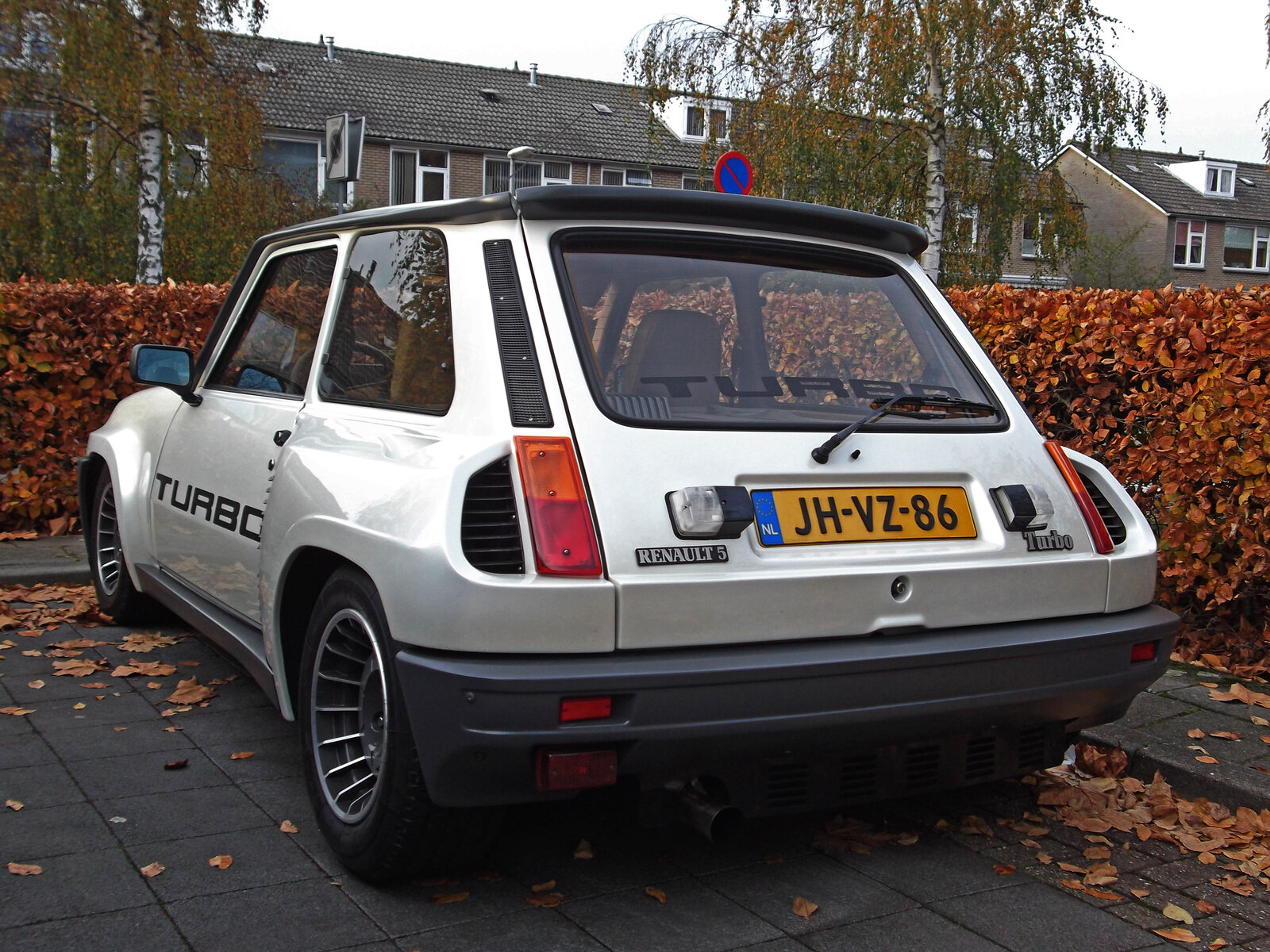exact first-series road-car family; depicted as 1981